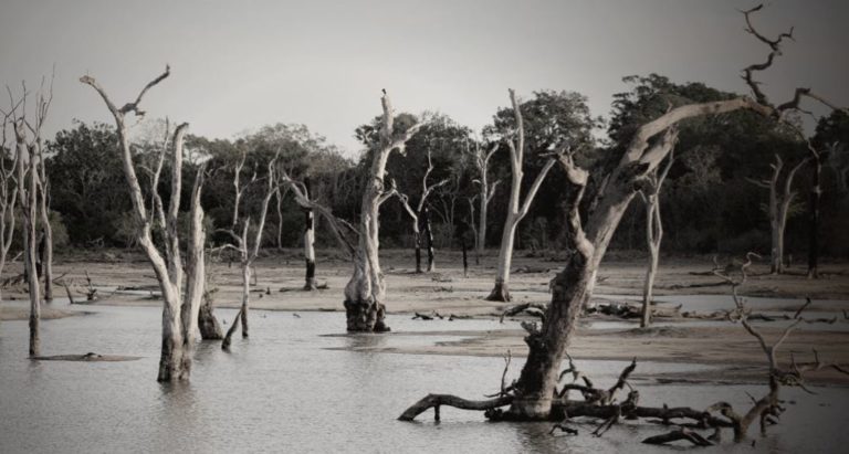 flood insurance coverage, private flood insurance coverage